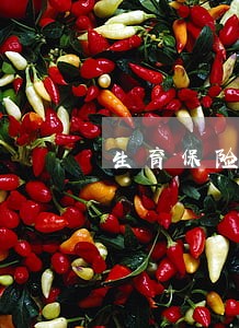 生育保险材料上交逾期怎么办 生育保险材料上交逾期怎么办