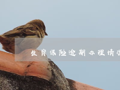 生育保险逾期办理情况说明 生育保险逾期办理情况说明