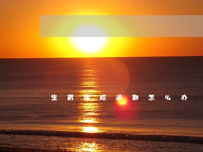 生育保险逾期怎么办 生育保险逾期怎么办