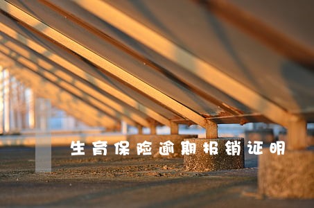 生育保险逾期报销证明 生育保险逾期报销证明