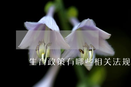 生育政策有哪些相关法规 生育政策有哪些相关法规