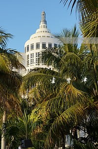生育津贴因申报期逾期说明 生育津贴因申报期逾期说明