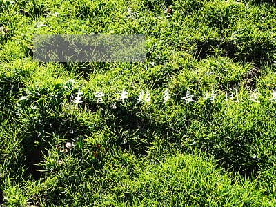 生育津贴多长时间逾期 生育津贴多长时间逾期