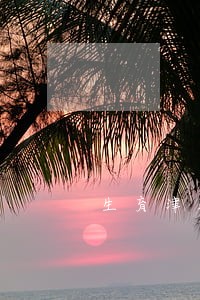 生育津贴政策出自劳动法吗 生育津贴政策出自劳动法吗