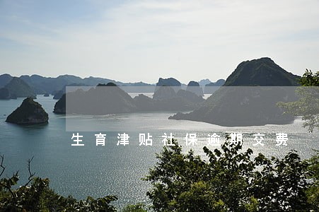 生育津贴社保逾期交费 生育津贴社保逾期交费