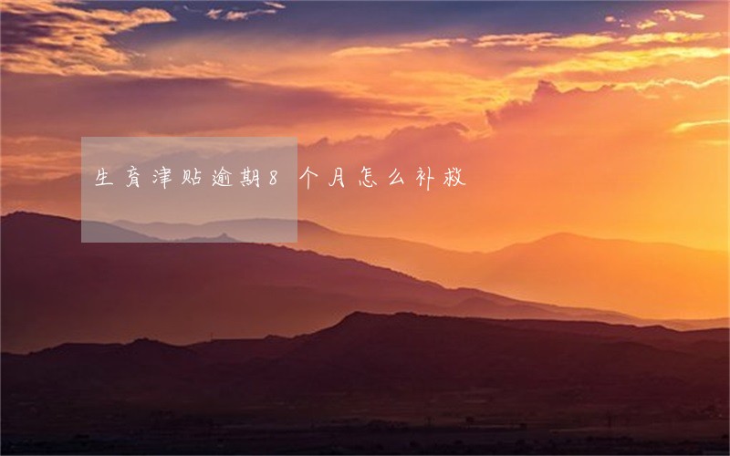 生育津贴逾期8个月怎么补救 生育津贴逾期8个月怎么补救