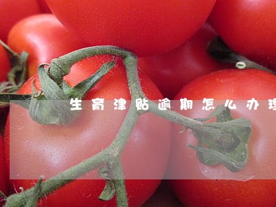 生育津贴逾期怎么办理
