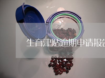 生育津贴逾期申请报告 生育津贴逾期申请报告