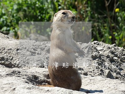 生育津贴逾期申请说明书 生育津贴逾期申请说明书