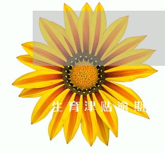 生育津贴逾期能办理吗 生育津贴逾期能办理吗