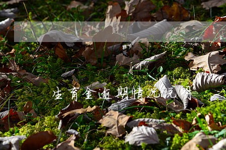 生育金逾期情况说明