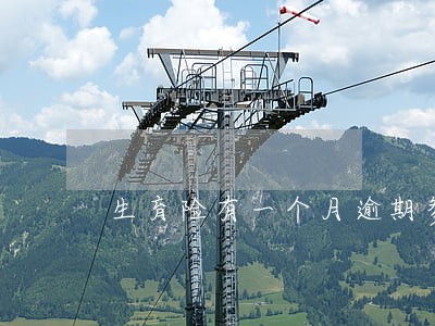 生育险有一个月逾期参保 生育险有一个月逾期参保