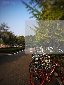 生育险法院能不能执行吗 生育险法院能不能执行吗