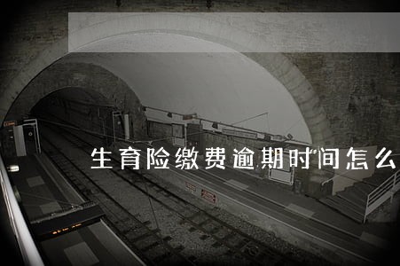 生育险缴费逾期时间怎么算 生育险缴费逾期时间怎么算