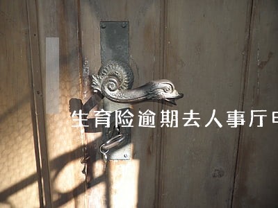 生育险逾期去人事厅申报 生育险逾期去人事厅申报