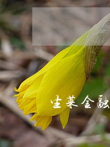 生菜金融逾期不还钱 生菜金融逾期不还钱