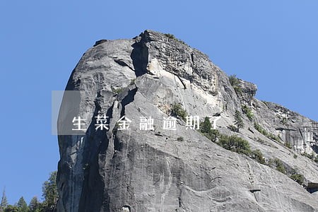 生菜金融逾期了