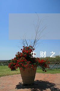 生财之道原来违法 生财之道原来违法