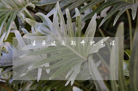 生身证逾期异地办理 生身证逾期异地办理