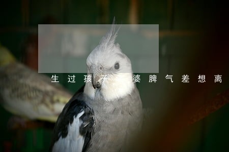 生过孩子老婆脾气差想离婚 生过孩子老婆脾气差想离婚