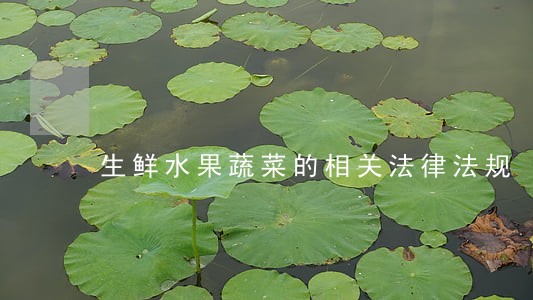 生鲜水果蔬菜的相关法律法规 生鲜水果蔬菜的相关法律法规