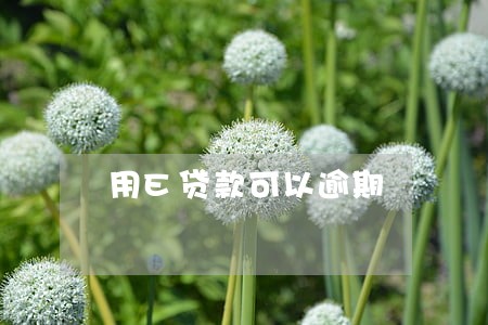用E贷款可以逾期 用E贷款可以逾期