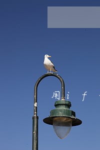 用if函数筛选出逾期合同 用if函数筛选出逾期合同