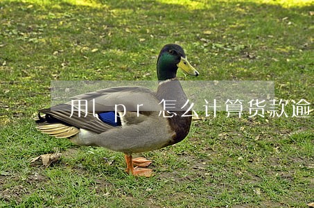 用lpr怎么计算货款逾期利息 用lpr怎么计算货款逾期利息