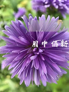 用中信新快现使信用卡逾期 用中信新快现使信用卡逾期