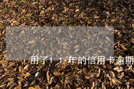 用了11年的信用卡逾期了