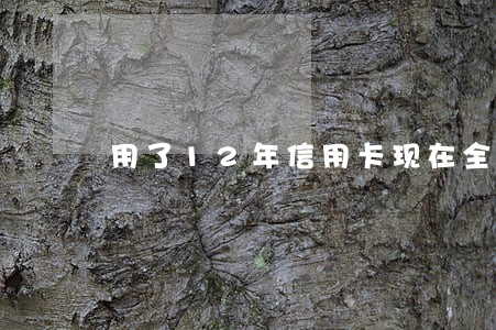 用了12年信用卡现在全部逾期 用了12年信用卡现在全部逾期