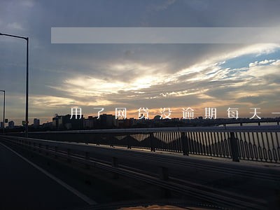 用了网贷没逾期每天一个电话
