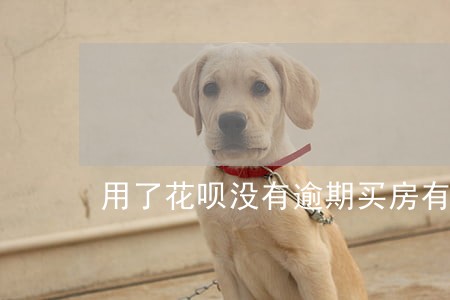 用了花呗没有逾期买房有没有 用了花呗没有逾期买房有没有