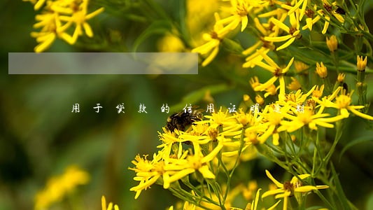 用于贷款的信用证明逾期 用于贷款的信用证明逾期