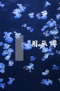 用亚博买球算违法吗 用亚博买球算违法吗