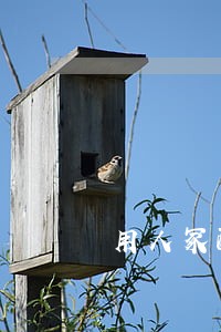 用人冢配方打自己商标违法吗 用人冢配方打自己商标违法吗