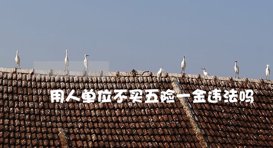 用人单位不买五险一金违法吗 用人单位不买五险一金违法吗