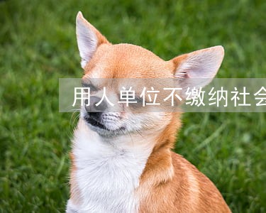 用人单位不缴纳社会保险的法律法规 用人单位不缴纳社会保险的法律法规