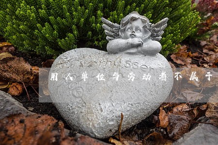 用人单位与劳动者不属于民法关系 用人单位与劳动者不属于民法关系