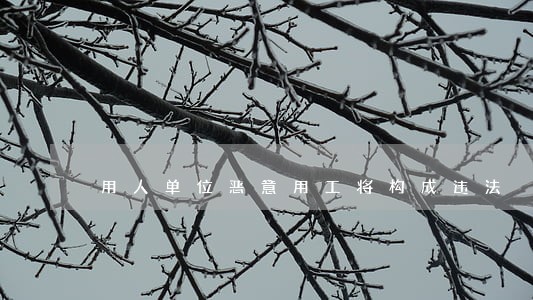 用人单位恶意用工将构成违法