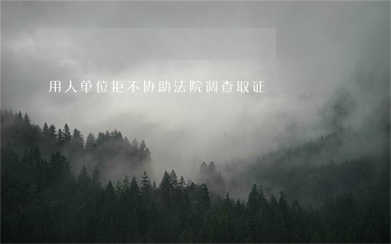 用人单位拒不协助法院调查取证