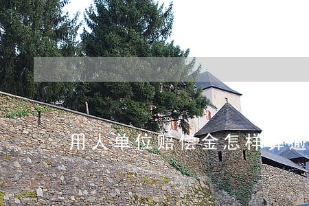用人单位赔偿金怎样算逾期违约 用人单位赔偿金怎样算逾期违约