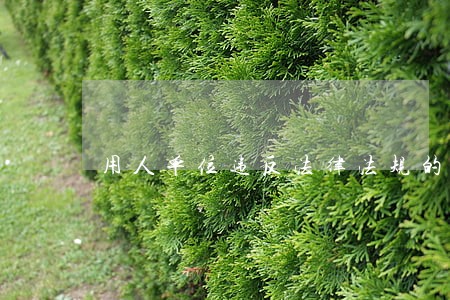用人单位违反法律法规的情况有哪些