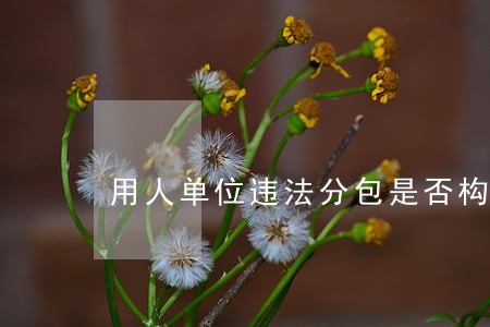 用人单位违法分包是否构成劳动关系 用人单位违法分包是否构成劳动关系