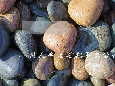 用人单位逾期不交公积金 用人单位逾期不交公积金