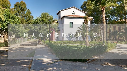 用人单位逾期不开工资 用人单位逾期不开工资