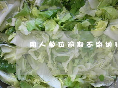 用人单位逾期不缴纳社保 用人单位逾期不缴纳社保