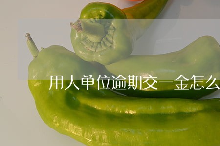 用人单位逾期交一金怎么赔偿 用人单位逾期交一金怎么赔偿
