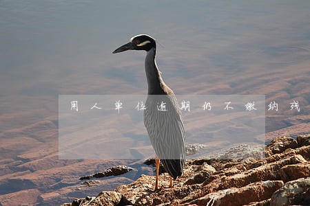 用人单位逾期仍不缴纳残疾人 用人单位逾期仍不缴纳残疾人