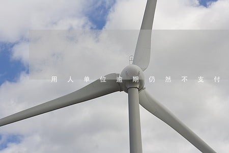 用人单位逾期仍然不支付 用人单位逾期仍然不支付